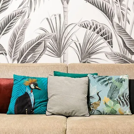 דירה Hyper Centre 2p De 30m2